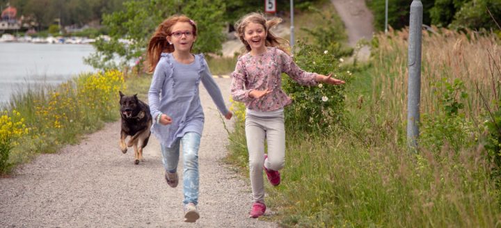 barn-med-hund-crop